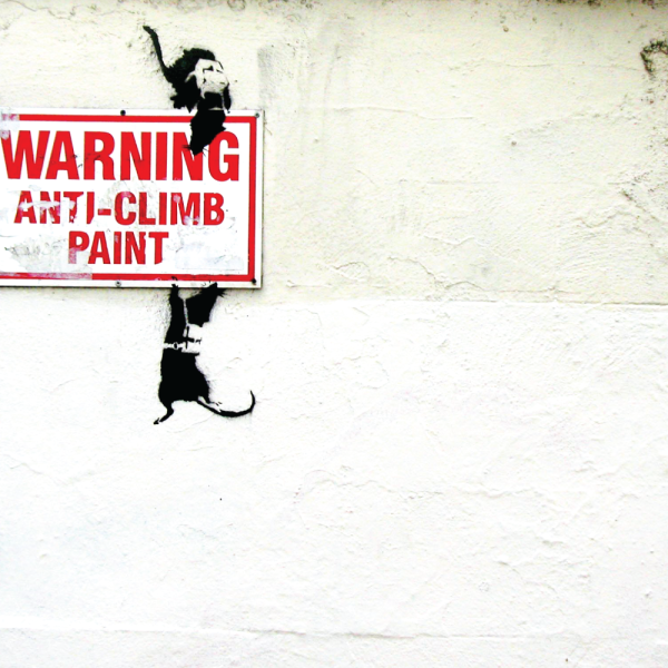 Anti-Climb Paint - Rats