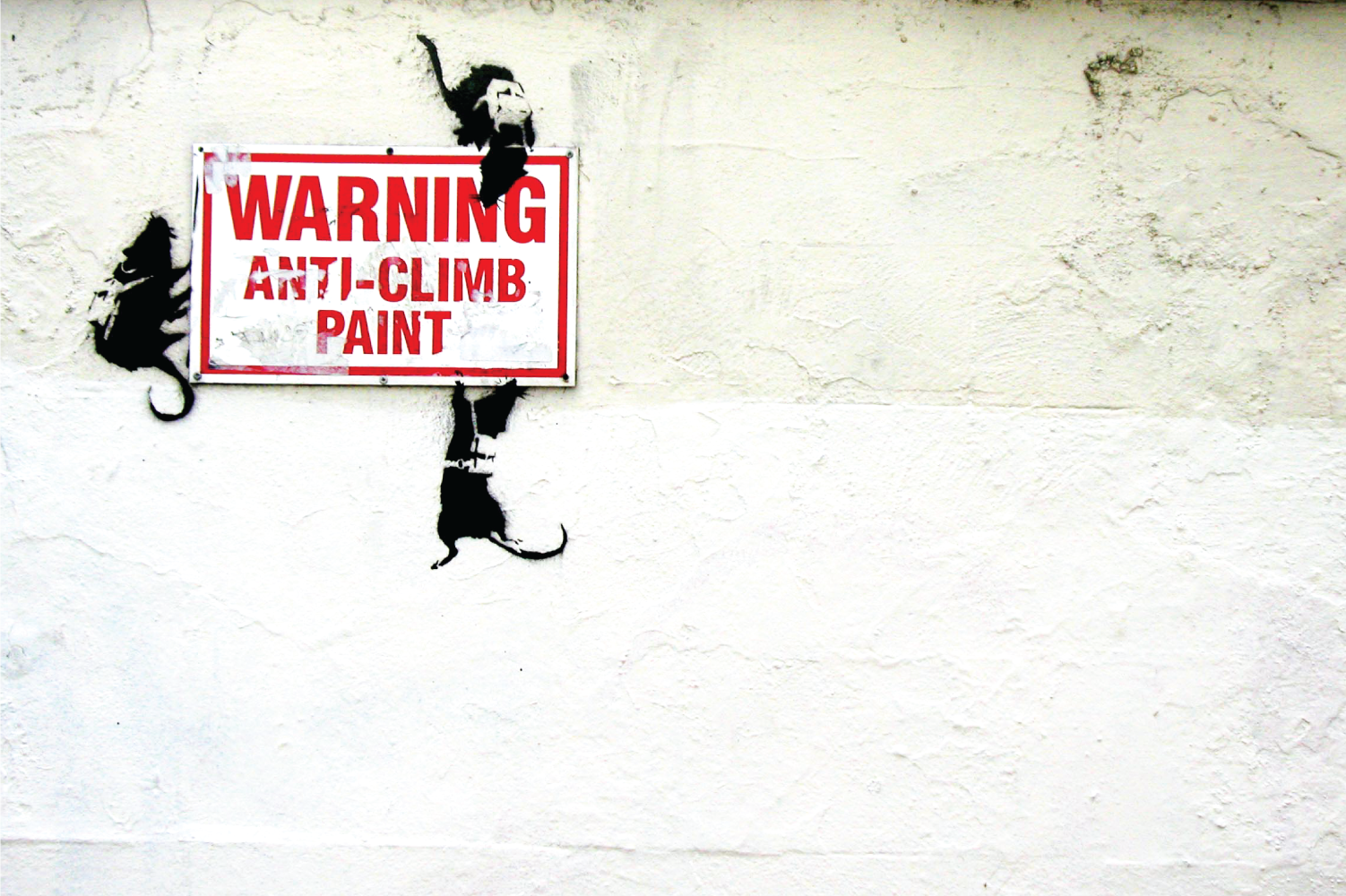 Anti-Climb Paint - Rats