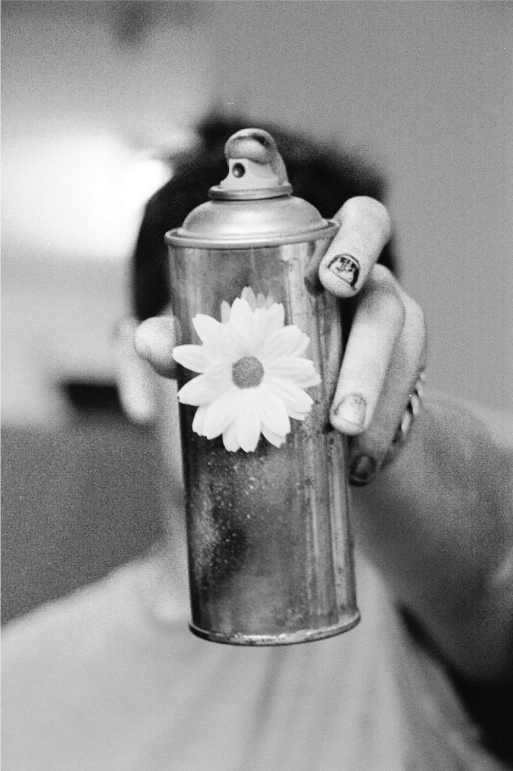 1000000000013 Banksy: Spray With Chamomile (Black And White)